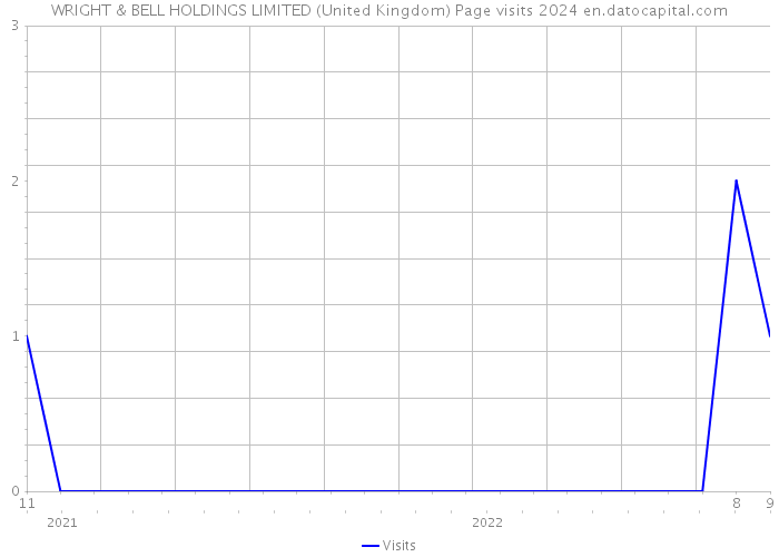WRIGHT & BELL HOLDINGS LIMITED (United Kingdom) Page visits 2024 
