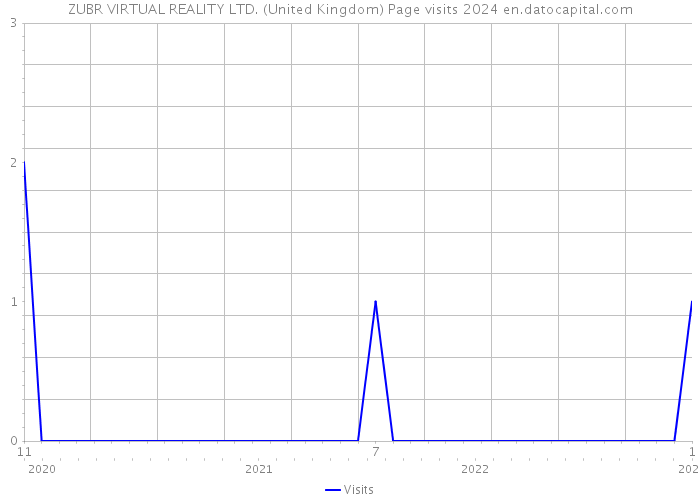 ZUBR VIRTUAL REALITY LTD. (United Kingdom) Page visits 2024 