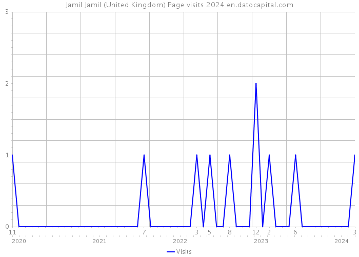 Jamil Jamil (United Kingdom) Page visits 2024 