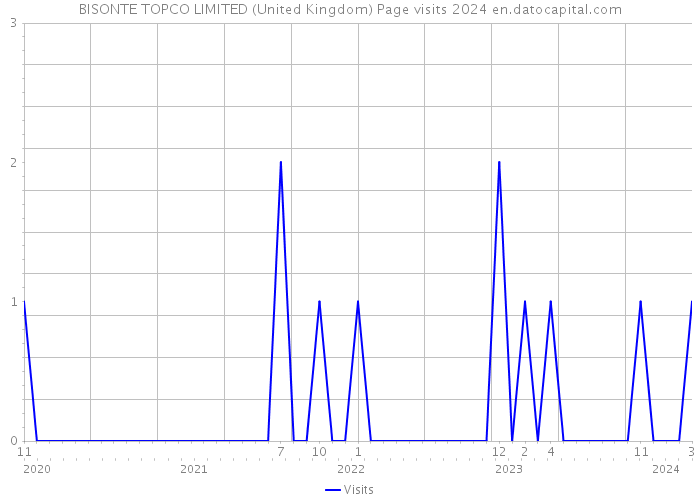 BISONTE TOPCO LIMITED (United Kingdom) Page visits 2024 