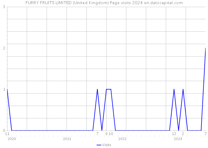 FURRY FRUITS LIMITED (United Kingdom) Page visits 2024 