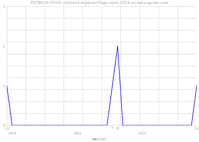 PATRICIA ROOK (United Kingdom) Page visits 2024 