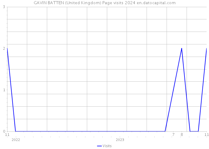 GAVIN BATTEN (United Kingdom) Page visits 2024 
