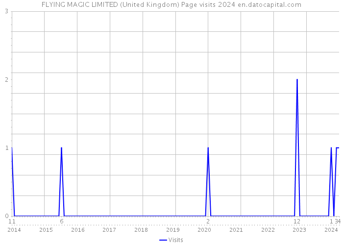 FLYING MAGIC LIMITED (United Kingdom) Page visits 2024 