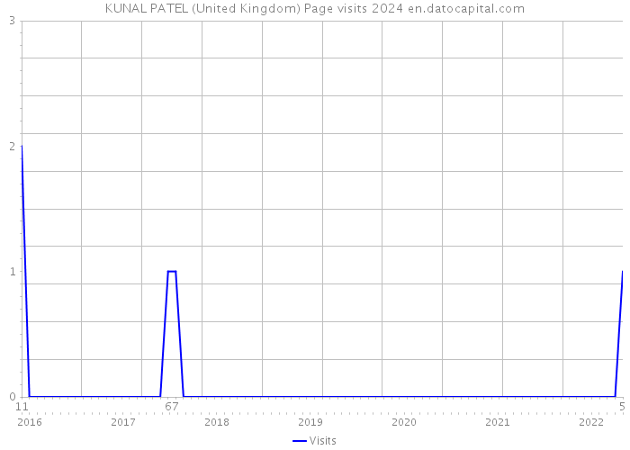 KUNAL PATEL (United Kingdom) Page visits 2024 