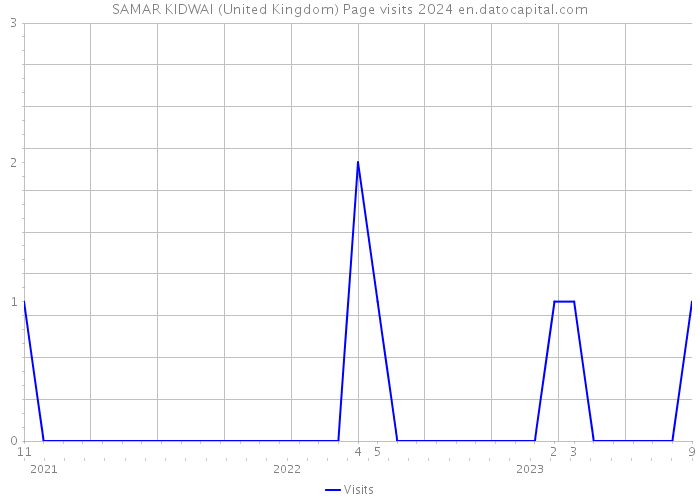 SAMAR KIDWAI (United Kingdom) Page visits 2024 