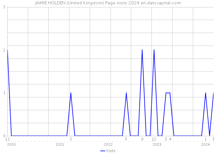 JAMIE HOLDEN (United Kingdom) Page visits 2024 