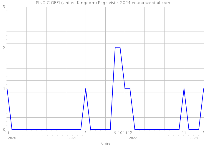 PINO CIOFFI (United Kingdom) Page visits 2024 