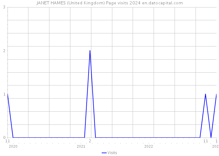JANET HAMES (United Kingdom) Page visits 2024 