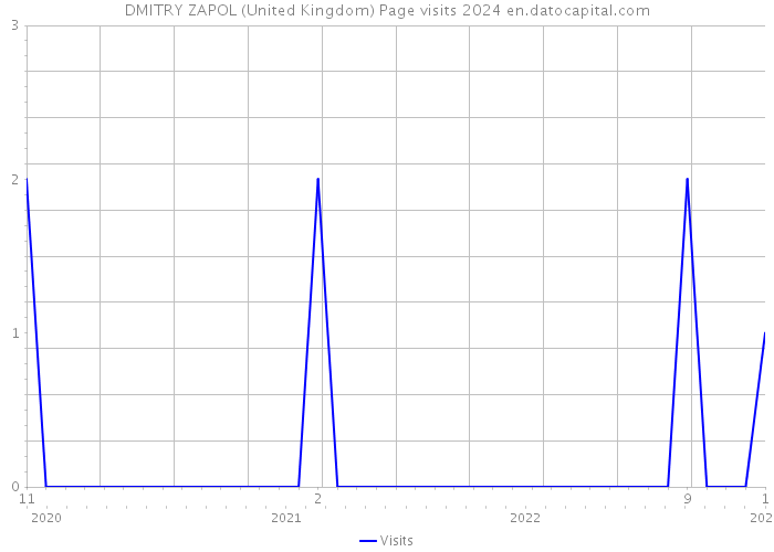 DMITRY ZAPOL (United Kingdom) Page visits 2024 