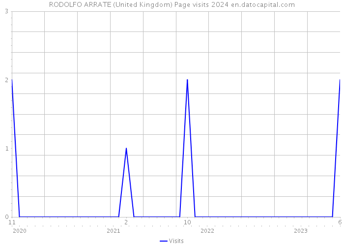 RODOLFO ARRATE (United Kingdom) Page visits 2024 