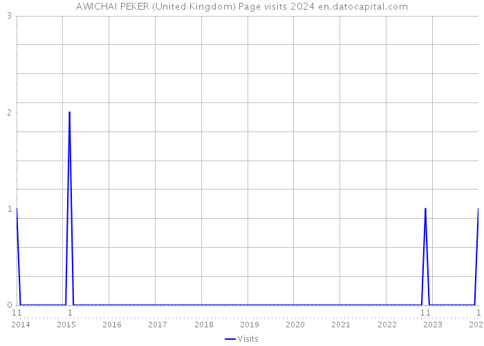 AWICHAI PEKER (United Kingdom) Page visits 2024 