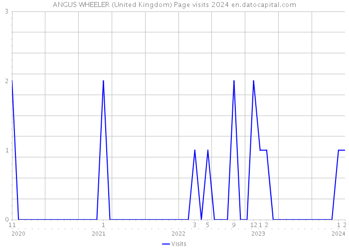 ANGUS WHEELER (United Kingdom) Page visits 2024 