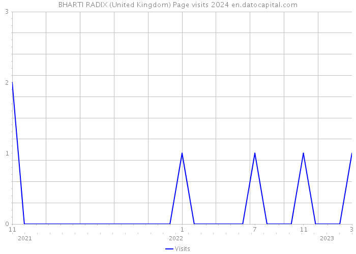 BHARTI RADIX (United Kingdom) Page visits 2024 