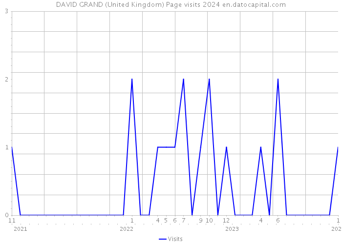 DAVID GRAND (United Kingdom) Page visits 2024 