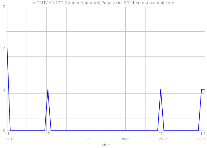 VITRUVIAN LTD (United Kingdom) Page visits 2024 