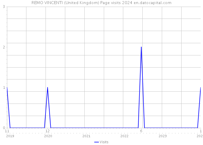 REMO VINCENTI (United Kingdom) Page visits 2024 