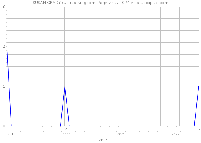 SUSAN GRADY (United Kingdom) Page visits 2024 