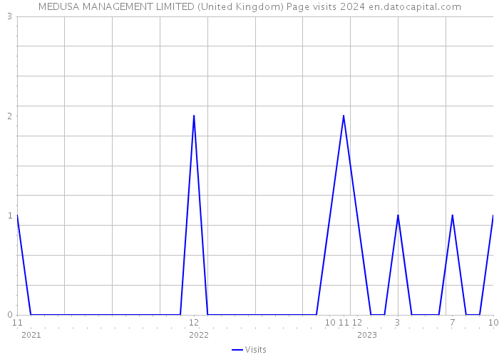 MEDUSA MANAGEMENT LIMITED (United Kingdom) Page visits 2024 