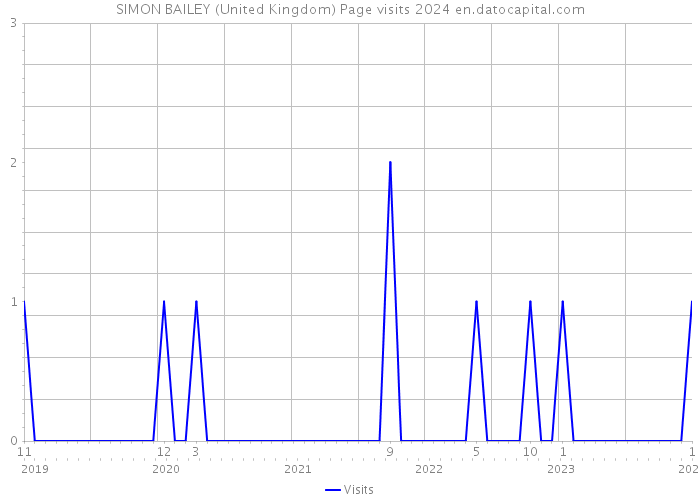 SIMON BAILEY (United Kingdom) Page visits 2024 