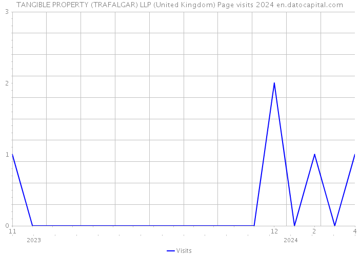 TANGIBLE PROPERTY (TRAFALGAR) LLP (United Kingdom) Page visits 2024 