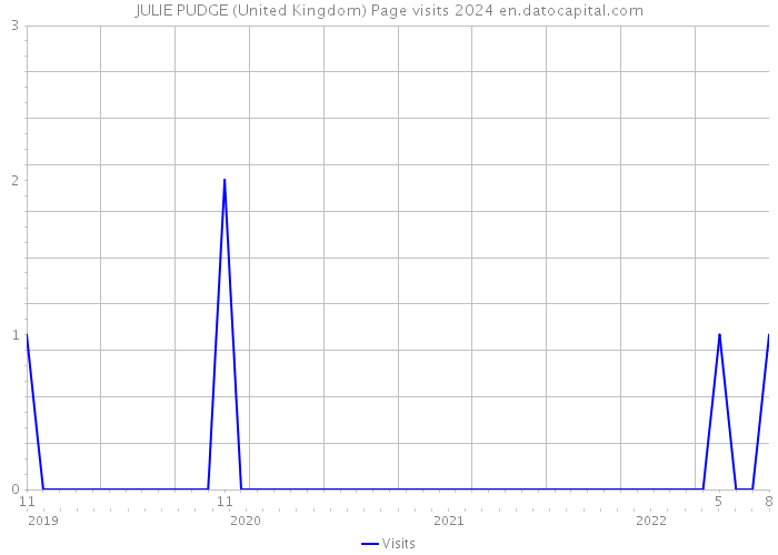 JULIE PUDGE (United Kingdom) Page visits 2024 
