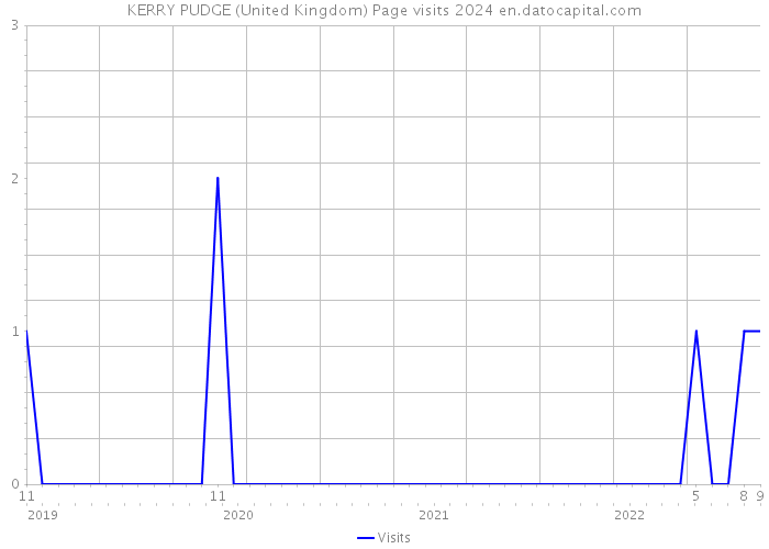 KERRY PUDGE (United Kingdom) Page visits 2024 