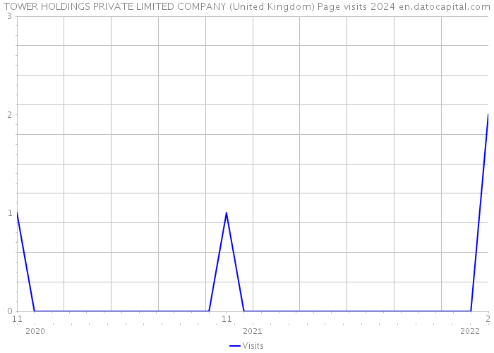 TOWER HOLDINGS PRIVATE LIMITED COMPANY (United Kingdom) Page visits 2024 