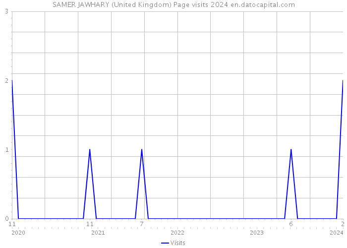 SAMER JAWHARY (United Kingdom) Page visits 2024 