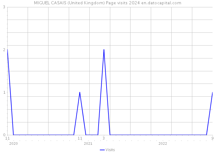 MIGUEL CASAIS (United Kingdom) Page visits 2024 
