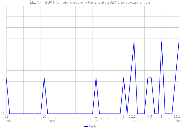 ELLIOTT BURT (United Kingdom) Page visits 2024 
