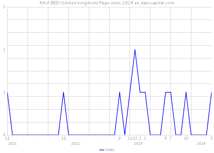 RAVI BEDI (United Kingdom) Page visits 2024 