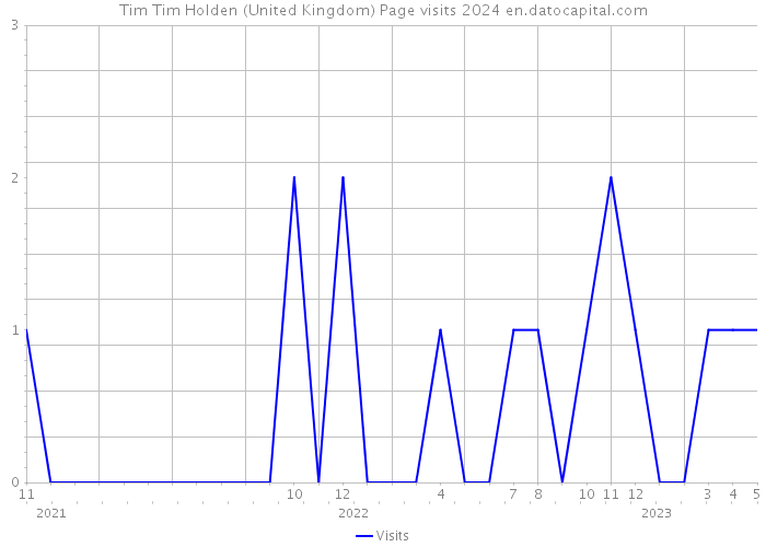 Tim Tim Holden (United Kingdom) Page visits 2024 