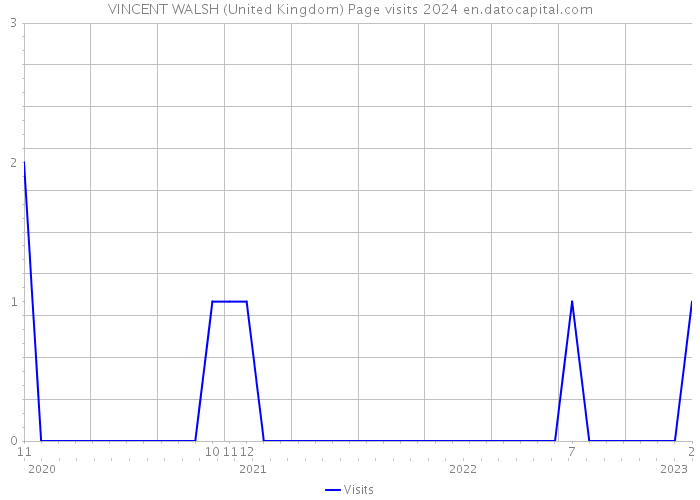 VINCENT WALSH (United Kingdom) Page visits 2024 