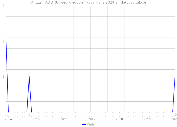 HAFEEZ HABIBI (United Kingdom) Page visits 2024 
