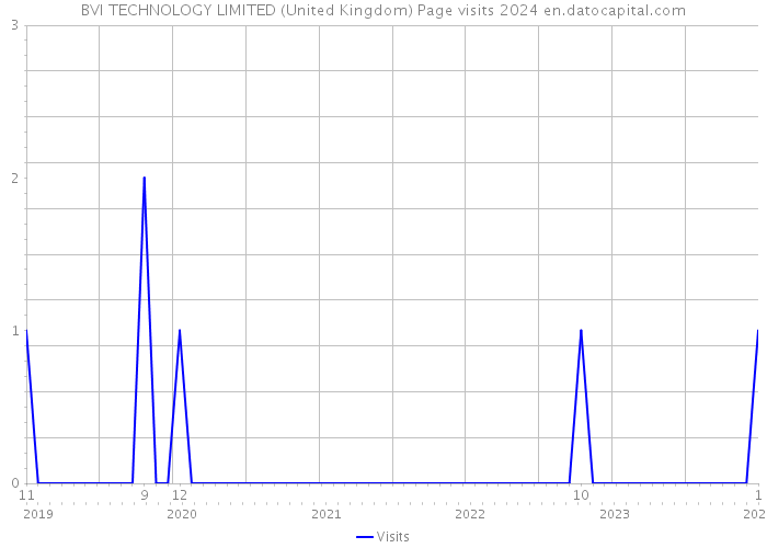 BVI TECHNOLOGY LIMITED (United Kingdom) Page visits 2024 