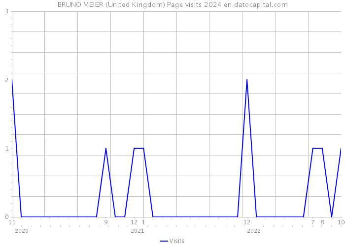 BRUNO MEIER (United Kingdom) Page visits 2024 
