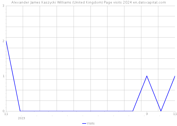 Alexander James Kaszycki Williams (United Kingdom) Page visits 2024 