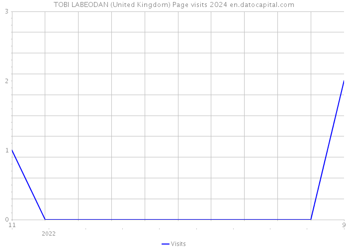 TOBI LABEODAN (United Kingdom) Page visits 2024 