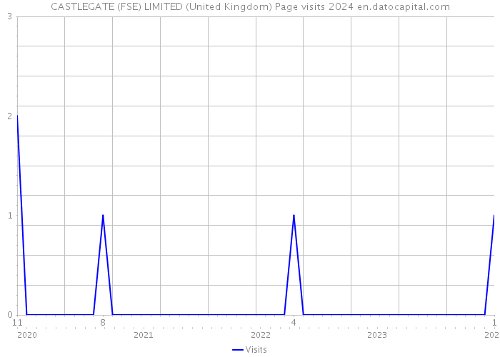 CASTLEGATE (FSE) LIMITED (United Kingdom) Page visits 2024 