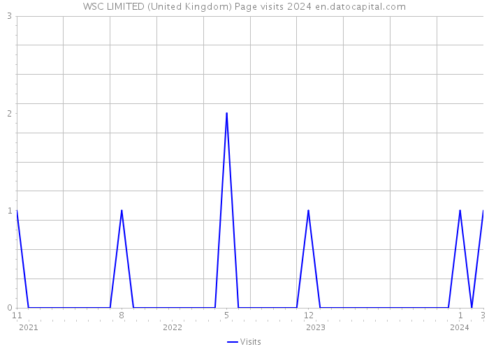 WSC LIMITED (United Kingdom) Page visits 2024 