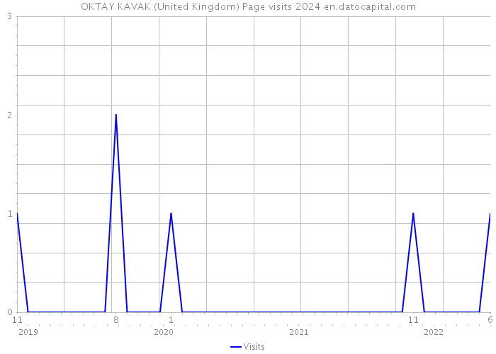 OKTAY KAVAK (United Kingdom) Page visits 2024 