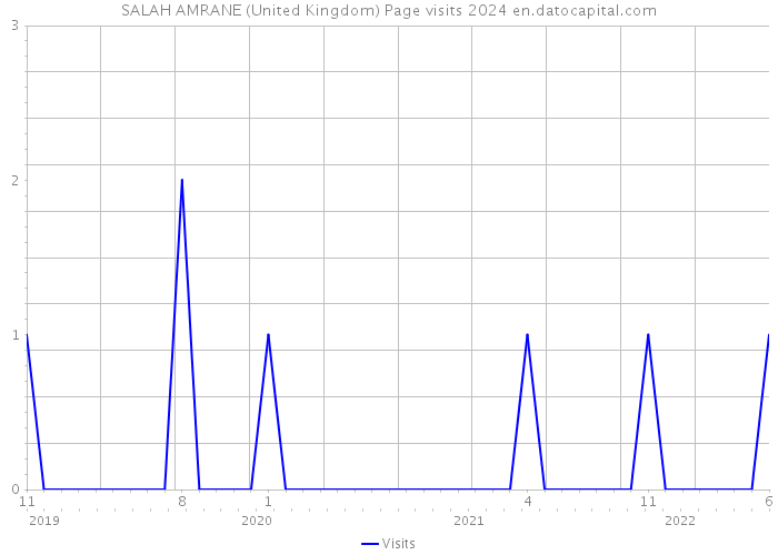 SALAH AMRANE (United Kingdom) Page visits 2024 