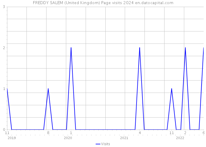 FREDDY SALEM (United Kingdom) Page visits 2024 