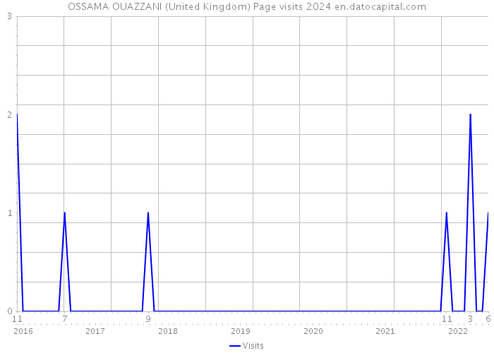 OSSAMA OUAZZANI (United Kingdom) Page visits 2024 