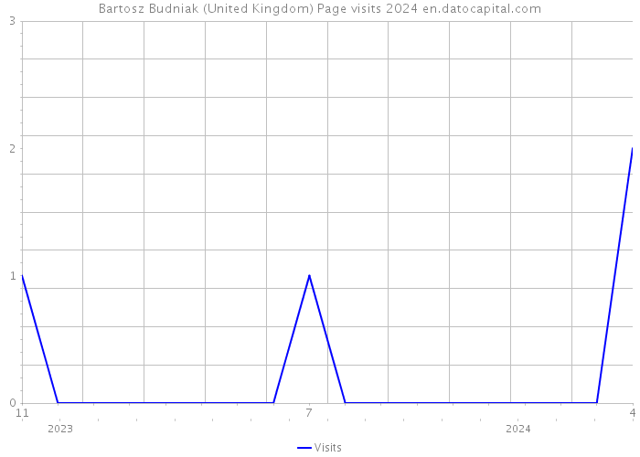 Bartosz Budniak (United Kingdom) Page visits 2024 