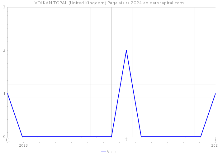 VOLKAN TOPAL (United Kingdom) Page visits 2024 