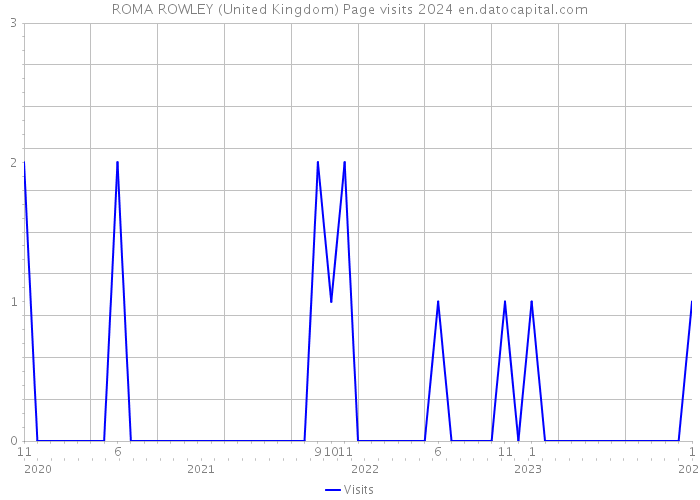 ROMA ROWLEY (United Kingdom) Page visits 2024 