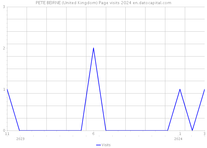 PETE BEIRNE (United Kingdom) Page visits 2024 