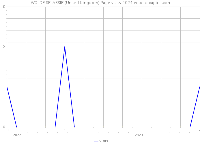 WOLDE SELASSIE (United Kingdom) Page visits 2024 